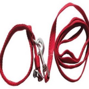 Pet Accessories